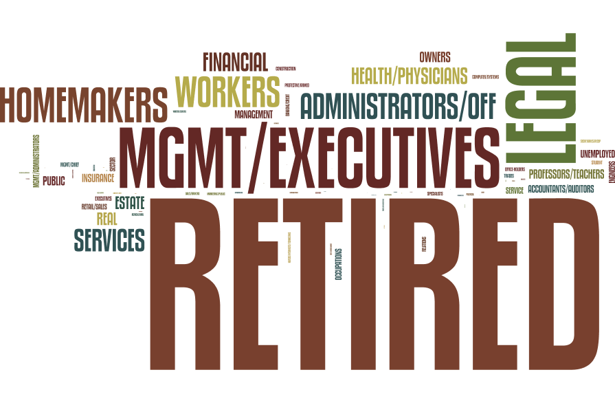 A Wordle showing the professions of donors to all candidates.